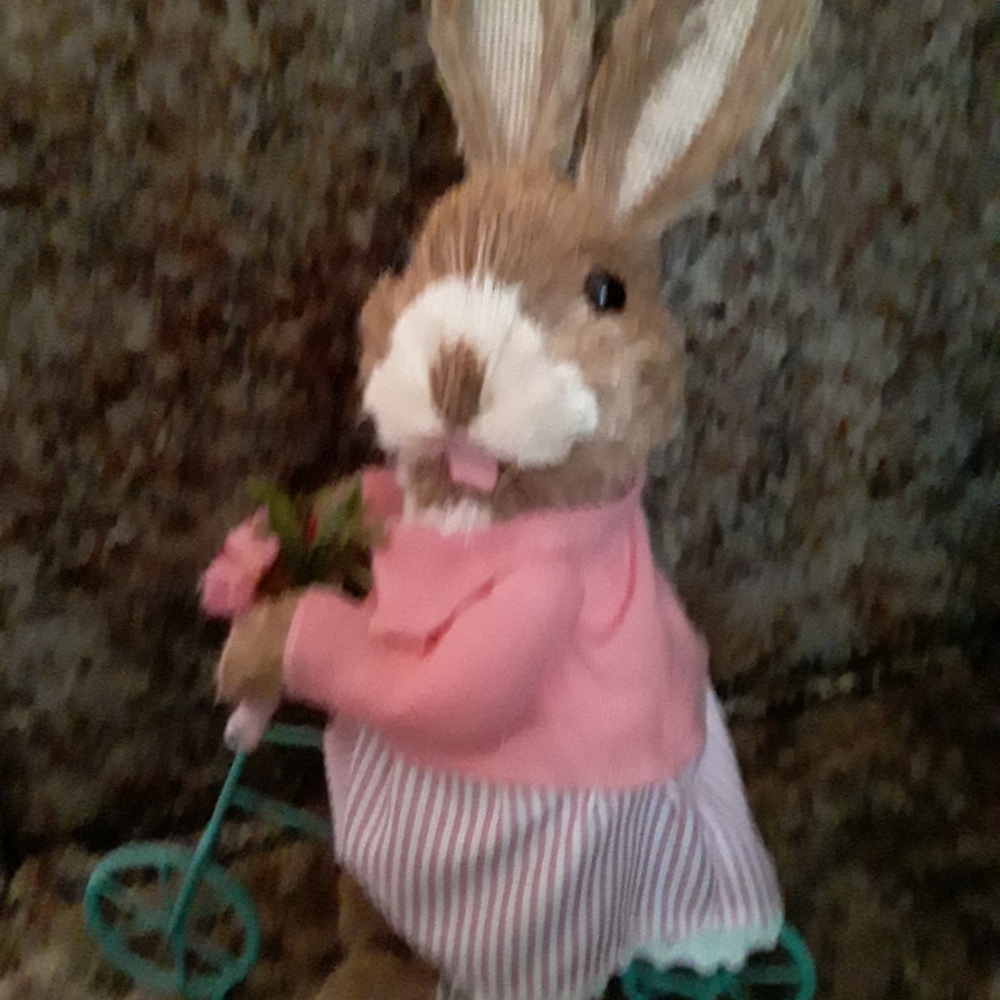 Bunny on bike
